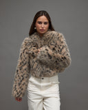 Elysian Fur